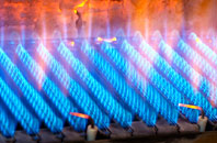 Llandanwg gas fired boilers